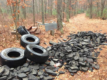 Bass River State Forest Cleanup